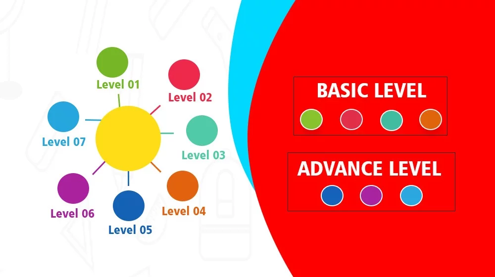 Abacus Classes in USA 