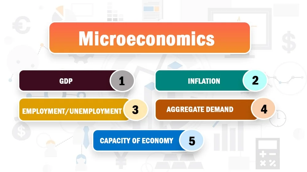 Economics Classes in USA