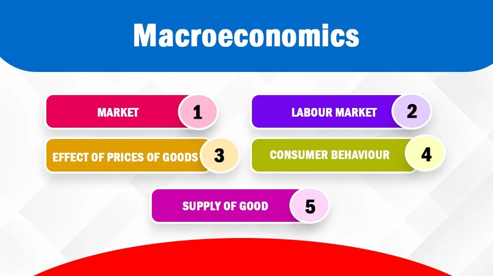 Economics Classes in USA